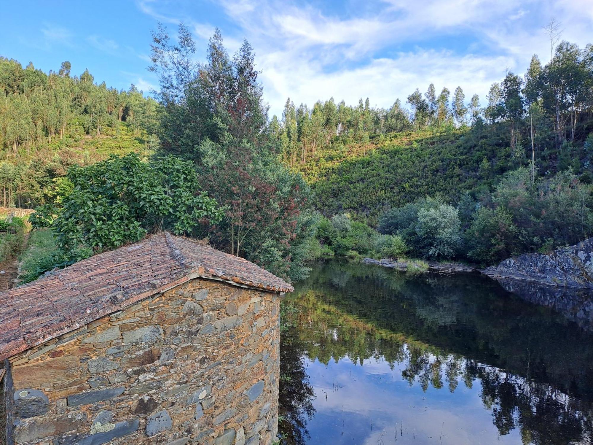Bed and Breakfast Vista Castelo Sertã Exteriér fotografie